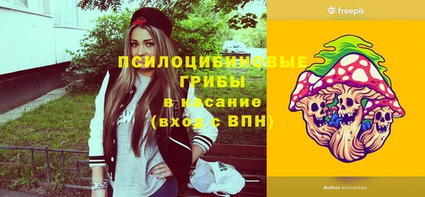 ГАЛЛЮЦИНОГЕННЫЕ ГРИБЫ Баксан
