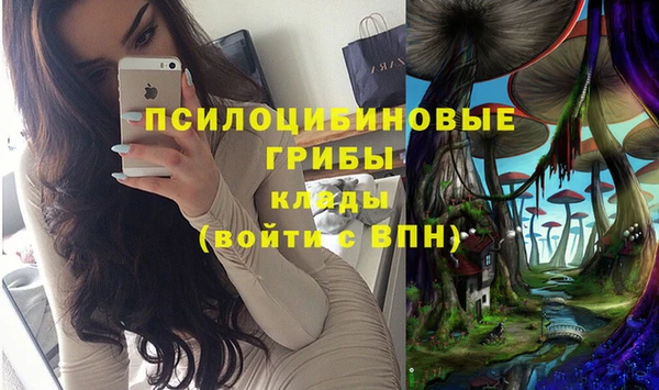 ГАЛЛЮЦИНОГЕННЫЕ ГРИБЫ Баксан