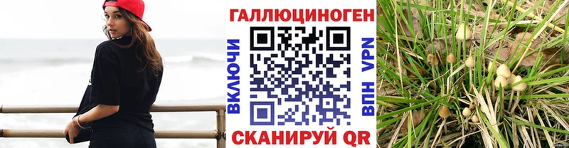 Галлюциногенные грибы Magic Shrooms  Палласовка 